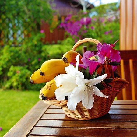 Holiday Homes Quinta Dos Curubas, Vila Franca Do Campo, Sao Miguel, Azores Kültér fotó