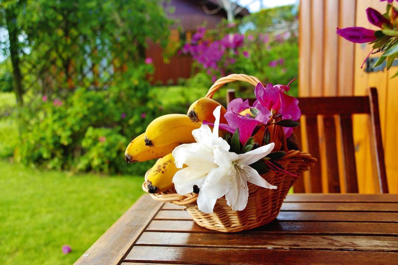 Holiday Homes Quinta Dos Curubas, Vila Franca Do Campo, Sao Miguel, Azores Kültér fotó