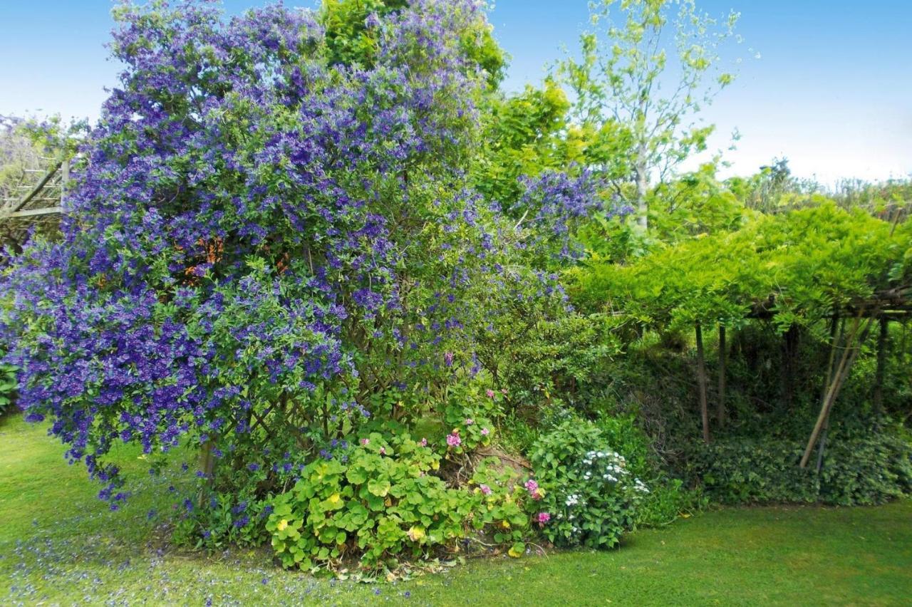 Holiday Homes Quinta Dos Curubas, Vila Franca Do Campo, Sao Miguel, Azores Kültér fotó
