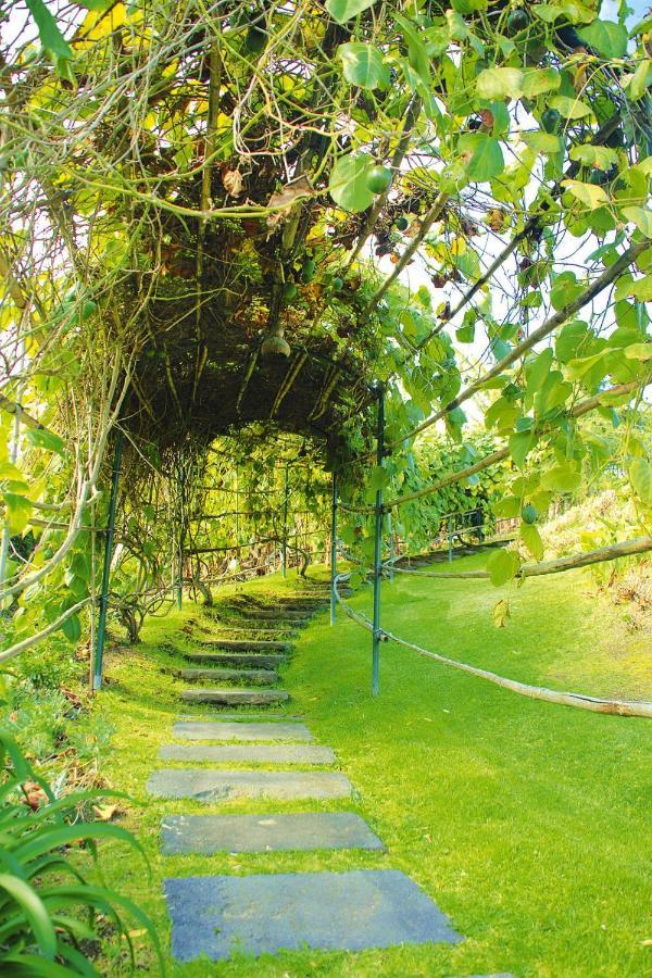 Holiday Homes Quinta Dos Curubas, Vila Franca Do Campo, Sao Miguel, Azores Kültér fotó